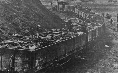 Plod Essay October 2025