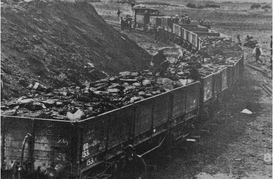 Plod Essay October 2025