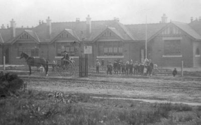 Plod Essay Novener 2025