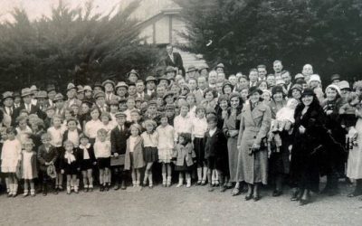 The Plod Essay June 2024