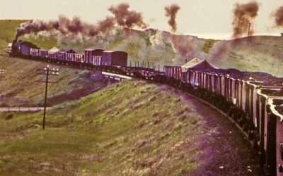 The Plod Essay July 2024